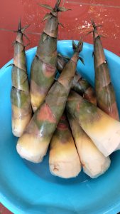 Măng bát độ xã Đại Hoá