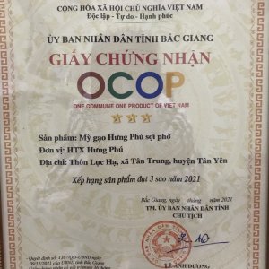 Mỳ gạo Hưng Phú Sợi phở