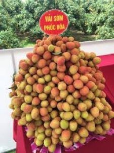 Vải thiều chín sớm